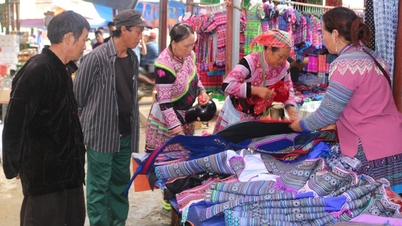 Vô một chợ phiên ở Lào Cai thấy cái chổi bó bằng cây mía, chim họa mi hót líu lo, rau rừng la liệt