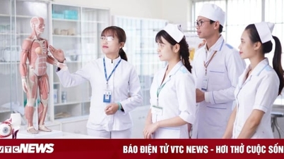 Top 5 universities with the best training in Preventive Medicine today