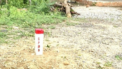 Urgent handover of GPMB markers for the QL28B expansion project