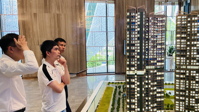 Lack of supply, luxury apartments in both Hanoi and Ho Chi Minh City attract customers