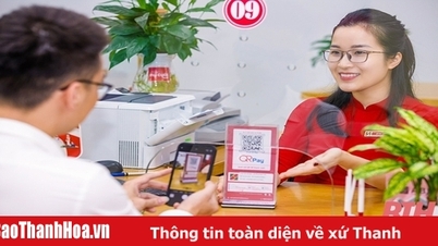 Kiến tạo môi trường làm việc chuẩn mực, thân thiện với khách hàng