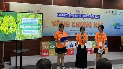 តើសំបកទុរេននៅតែត្រូវបោះចោលមែនទេ?