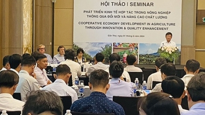 Đồng bằng sông Cửu Long đổi mới, nâng chất lượng phát triển kinh tế hợp tác nông nghiệp