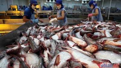 Seafood exports in 2023 will earn 9.2 billion USD