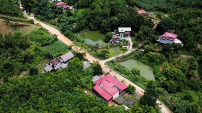 Yen Bai ហៀបនឹង​មាន​កន្លែង​កែច្នៃ​ក្លិន​ក្រអូប​ចំនួន ២២ ពាន់​លាន​ដុង