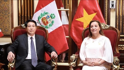 Strengthening bilateral relations between Vietnam and Peru