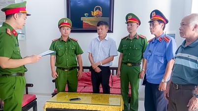 Violations at the Inspection Center in Thua Thien
