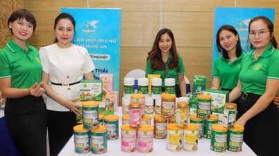 Năm đầu tiên Cuộc thi Khởi nghiệp Techfest có giải thưởng dành riêng cho nữ