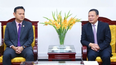 Việt Nam - Singapore tăng cường hợp tác phát triển nhân lực chất lượng cao