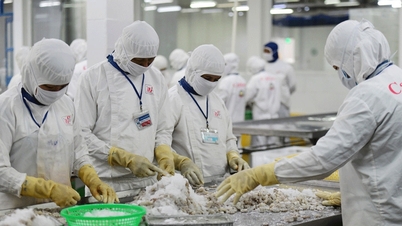 Gran Bretaña reconocerá a Vietnam como una economía de mercado.