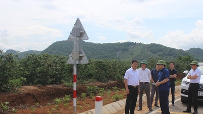 Yêu cầu 2 địa phương xử lý nghiêm xây dựng trái phép trên đất nông nghiệp