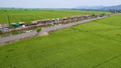 The Southeast region earned over 215,100 billion VND from tourism.