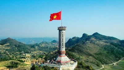 Chữ cái nào không xuất hiện trong tên của các tỉnh thành Việt Nam?