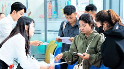 Tuyển sinh đại học: Có nên xét tuyển học bạ trung học phổ thông?
