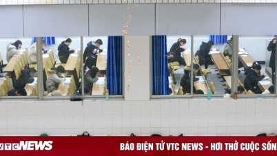 석사 및 박사 학위 소지자들은 여전히 ​​실업 상태이며 많은 사람들이 더 이상 대학원 시험을 치르는 데 관심이 없습니다.