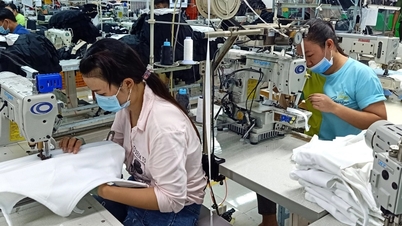 Nhiều chính sách hỗ trợ đào tạo nghề, việc làm cho người bị thu hồi đất