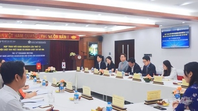 Hội Luật gia Việt Nam làm việc với Đoàn Luật sư Seoul – Hàn Quốc