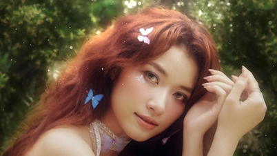 What did Quoc Bao's "new muse" say when compared to Ha Tran and My Tam?