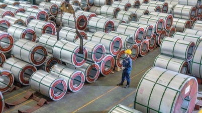 Hoa Sen shares strongly attract foreign cash flow