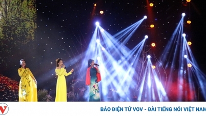 កម្មវិធីសិល្បៈប្លែកៗ "សរទរដូវសម្រាប់អ្នក" នៅ Hue