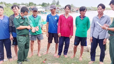 Cứu 7 thuyền viên bị chìm tàu cá trôi dạt trên vùng biển Bạc Liêu