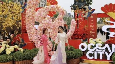 Lễ hội và cuộc thi thiết kế đèn lồng quốc tế độc đáo tại Ocean City