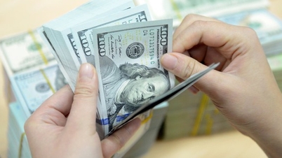តម្លៃ USD ថ្ងៃនេះ 31.3.2024: ទិសដៅកើនឡើងបន្ត