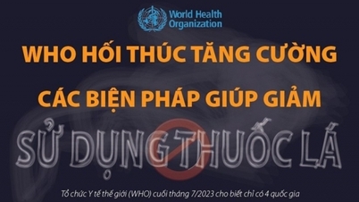 WHO ណែនាំវិធានការកាត់បន្ថយការប្រើប្រាស់ថ្នាំជក់
