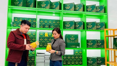 Bắc Kạn phấn đấu giảm tỷ lệ hộ nghèo còn hơn 19%