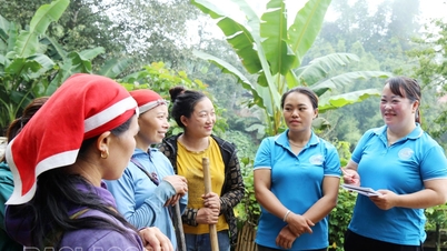 Dự án 8 đang đi vào đời sống cộng đồng ở xã Trung Chải