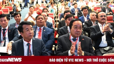 Long An thúc đẩy quan hệ hợp tác với Cuba