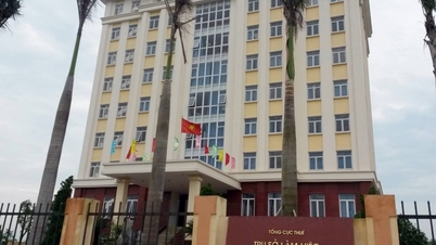77 businesses owe more than 160 billion VND in taxes