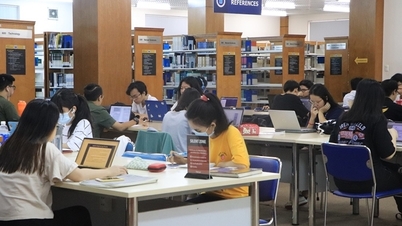 Đánh giá thực trạng 05 năm thi hành Luật Thư viện