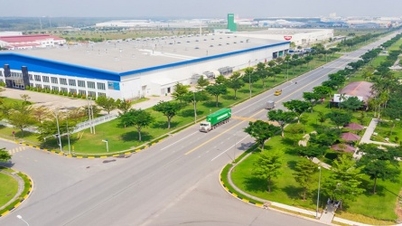 Long An was transferred 43 hectares of rice land to implement the Tan Phu Industrial Cluster Project.