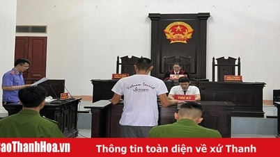 TP Sầm Sơn tổ chức phiên tòa xét xử theo thủ tục rút gọn
