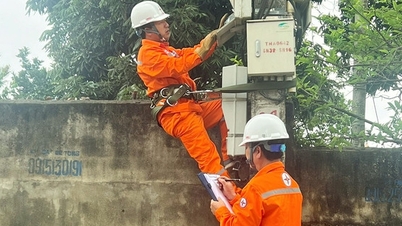 Reduce the time to process electricity industry procedures for customers