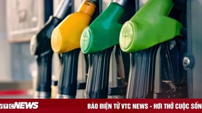 Giá xăng dầu hôm nay 30/10: Tiếp tục giảm