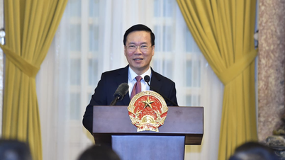 Chủ tịch nước tiếp Đoàn các Đại sứ, Trưởng cơ quan đại diện Việt Nam