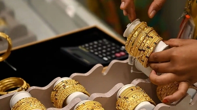Gold prices increase, a 'shark' buys nearly 74 tons more since the beginning of the year