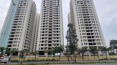 Bệnh viện Phúc An Khang xin chuyển qua chung cư giờ ra sao?