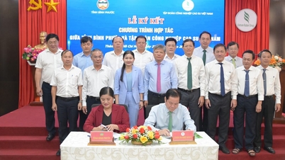 VRG បានចុះហត្ថលេខាលើកម្មវិធីសហប្រតិបត្តិការជាមួយខេត្ត Binh Phuoc