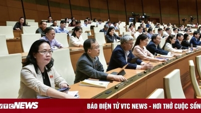 Quốc hội 'chốt' áp thuế VAT 5% đối với phân bón