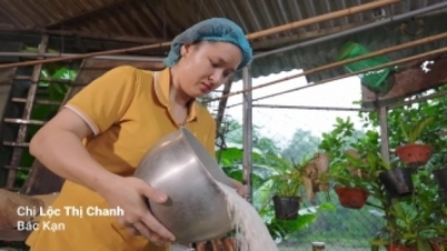 Nữ doanh nhân Việt tự tin vươn xa cùng dự án "Bừng Sáng" của CARE