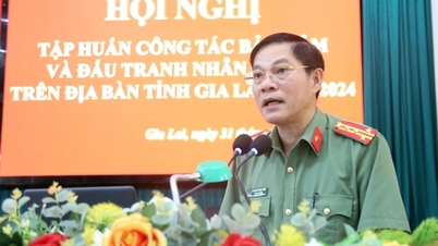 Gia Lai: focusing on 04 key tasks in ensuring human rights