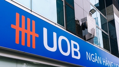 Ngân hàng UOB Việt Nam tăng vốn điều lệ lên 8.000 tỷ đồng