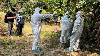 Patient infected with H5N1 bird flu due to contact with dead chicken
