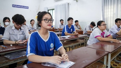 មានឧស្សាហកម្មចំនួន 3 ដែលមានពិន្ទុជាន់រហូតដល់ 24 ពិន្ទុ។