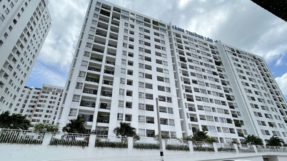 Ngân hàng BIDV bán nợ hơn 250 tỷ, bán đấu giá cả hầm gửi xe chung cư