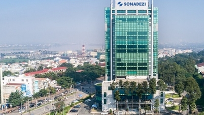 Cổ đông Tổng công ty Sonadezi (SNZ) chuẩn bị nhận cổ tức 2023 bằng tiền
