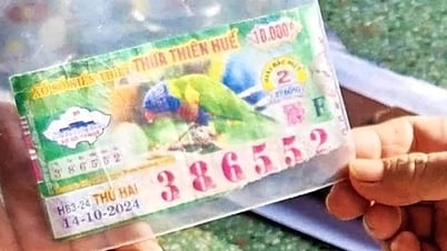 ករណី​ឆ្នោត​ឈ្នះ​រហែក៖ មិត្ត​អ្នក​អាន​មិន​ពេញ​ចិត្ត​នឹង​ភាព​រឹង​មាំ​របស់​ក្រុមហ៊ុន​ឆ្នោត​ហ៊ូ